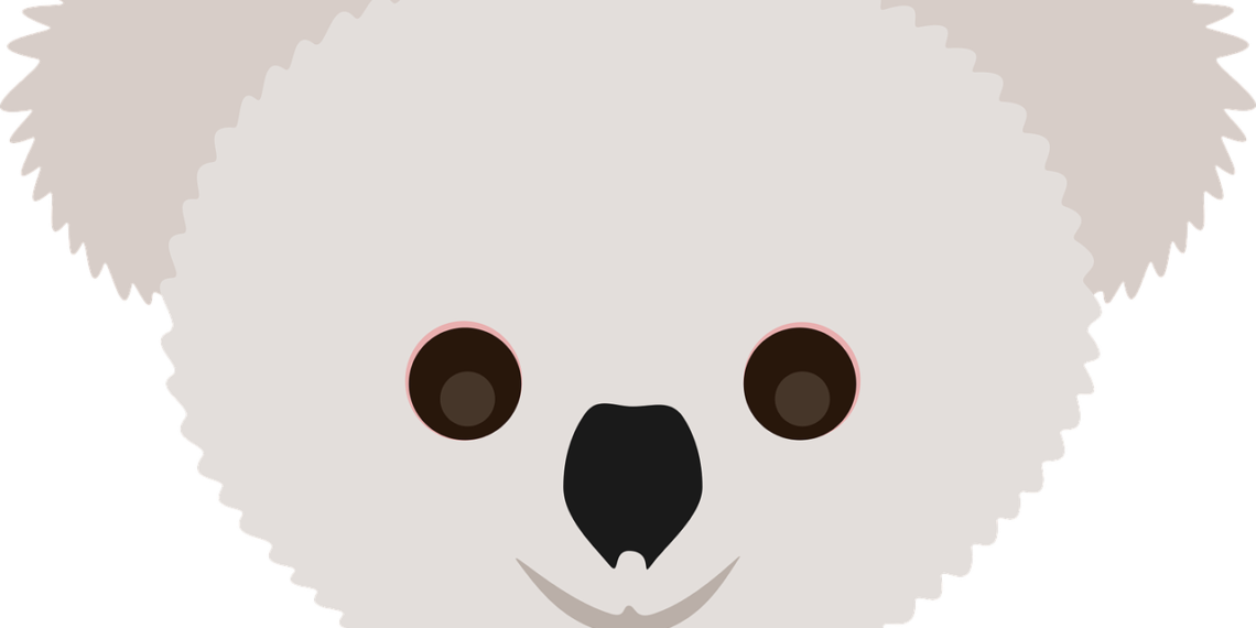 Guía completa: Todo lo que necesitas saber sobre qué es un Koala
