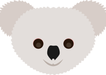 Guía completa: Todo lo que necesitas saber sobre qué es un Koala