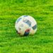 Apuestas deportivas para la Eurocopa 2024: tu guía completa