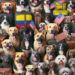 cuanto cuesta traer un perro de colombia a estados unidos