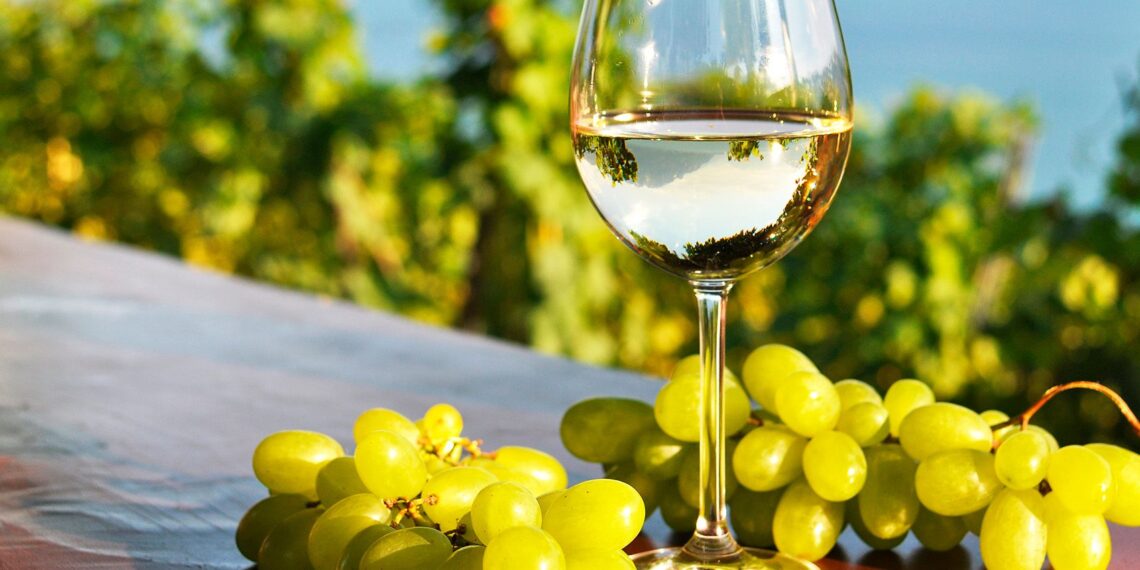 ¿Qué es un vino fresco y cuáles son sus características?