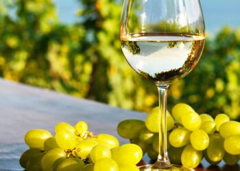 ¿Qué es un vino fresco y cuáles son sus características?