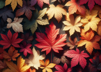 ¿Cuáles son los 5 mejores colores de otoño?
