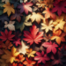 ¿Cuáles son los 5 mejores colores de otoño?