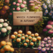 ¿Qué flores poner en otoño?