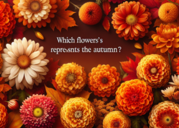 ¿Qué flores representan el otoño?