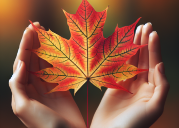 ¿Qué significa que te regalen una hoja de otoño?