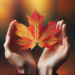 ¿Qué significa que te regalen una hoja de otoño?