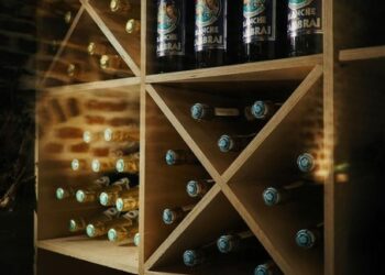 Aprende a Degustar Vinos: Técnicas y Consejos