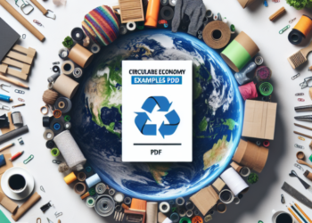 economia circular ejemplos pdf