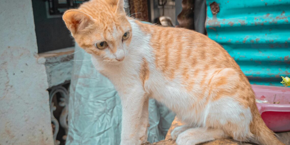 Pueblo costero de Asturias con montañas