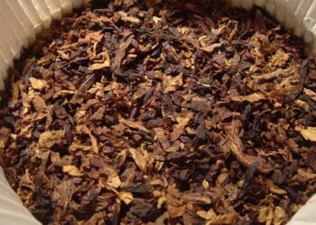 Ace vs Siberia: diferencias en snus – Gigasnus guía